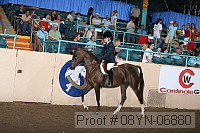 08yn-06880 proof