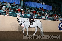 08yn-06889 proof