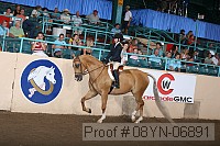 08yn-06891 proof