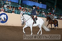 08yn-06899 proof