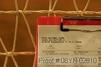 08yn-02810 proof