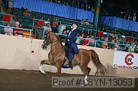 08yn-13053 proof