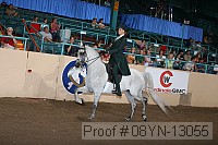 08yn-13055 proof
