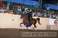 08yn-13059 proof