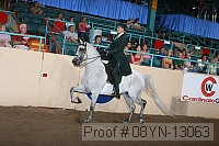 08yn-13063 proof