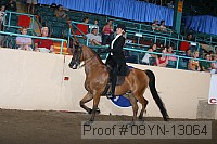 08yn-13064 proof