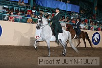 08yn-13071 proof