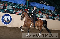 08yn-13073 proof