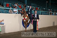 08yn-13082 proof