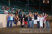 08yn-13083 proof