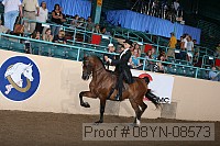 08yn-08573 proof