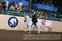 08yn-08575 proof