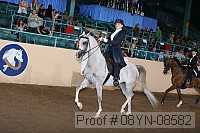 08yn-08582 proof