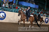 08yn-08583 proof