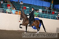 08yn-08587 proof