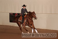08yn-05293 proof