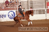 08yn-05294 proof