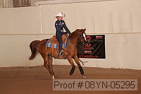 08yn-05295 proof
