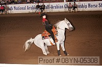 08yn-05308 proof