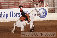 08yn-05309 proof