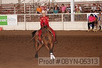 08yn-05313 proof