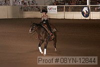 08yn-12844 proof