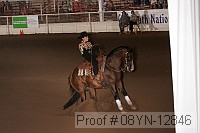 08yn-12846 proof