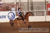 08yn-12857 proof