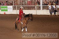 08yn-12858 proof