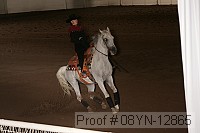 08yn-12865 proof