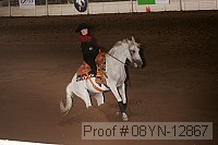 08yn-12867 proof