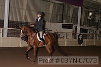 08yn-07073 proof