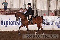 08yn-07079 proof