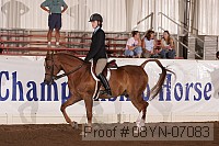 08yn-07083 proof