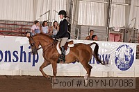 08yn-07086 proof
