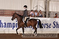 08yn-07087 proof