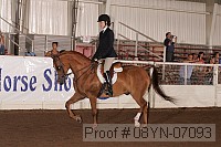 08yn-07093 proof