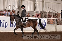 08yn-07094 proof