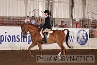 08yn-07100 proof