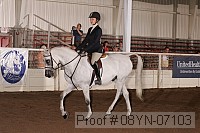 08yn-07103 proof