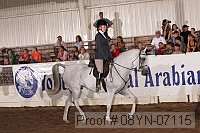 08yn-07115 proof