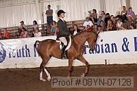 08yn-07128 proof