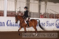 08yn-10643 proof