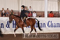 08yn-10646 proof