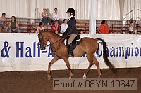 08yn-10647 proof
