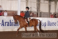 08yn-10653 proof