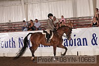 08yn-10663 proof