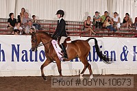 08yn-10673 proof