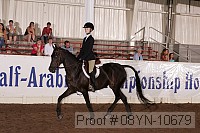 08yn-10679 proof