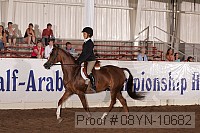 08yn-10682 proof